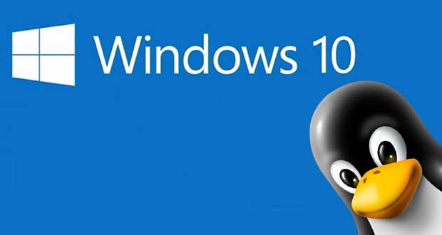 Clé USB Windows 11 Pro, Microsoft n'utilise pas le bon logo - GinjFo