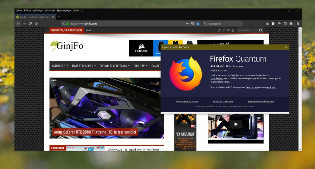 Browser Mozilla Firefox 65
