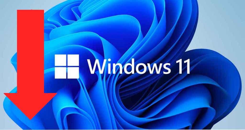 Workstation, la quota di mercato di Windows 11 è solo del 2,61%!