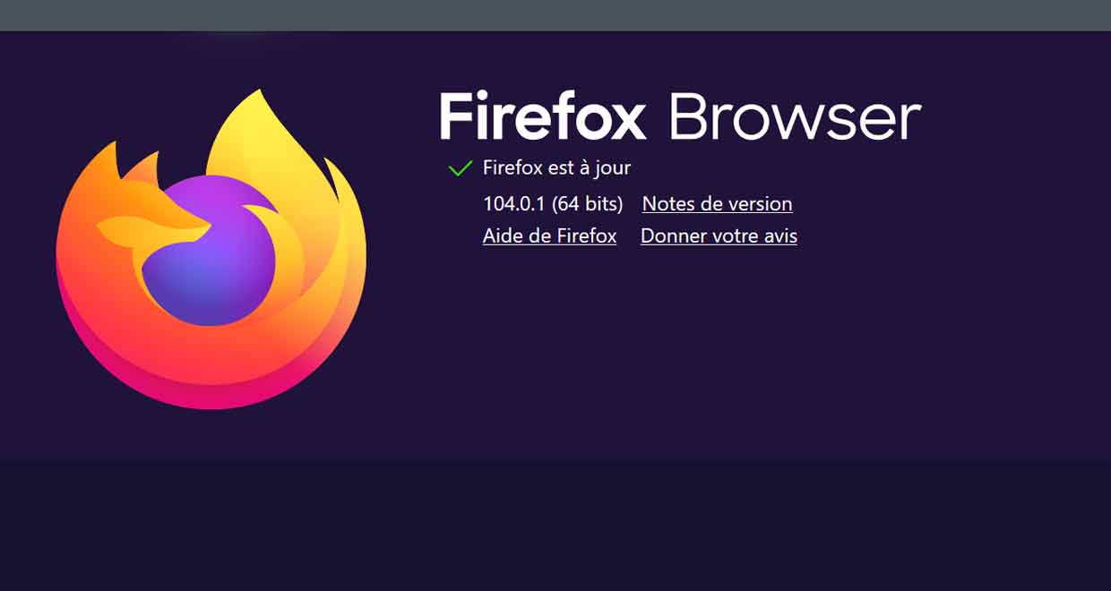 Firefox 104.0.1