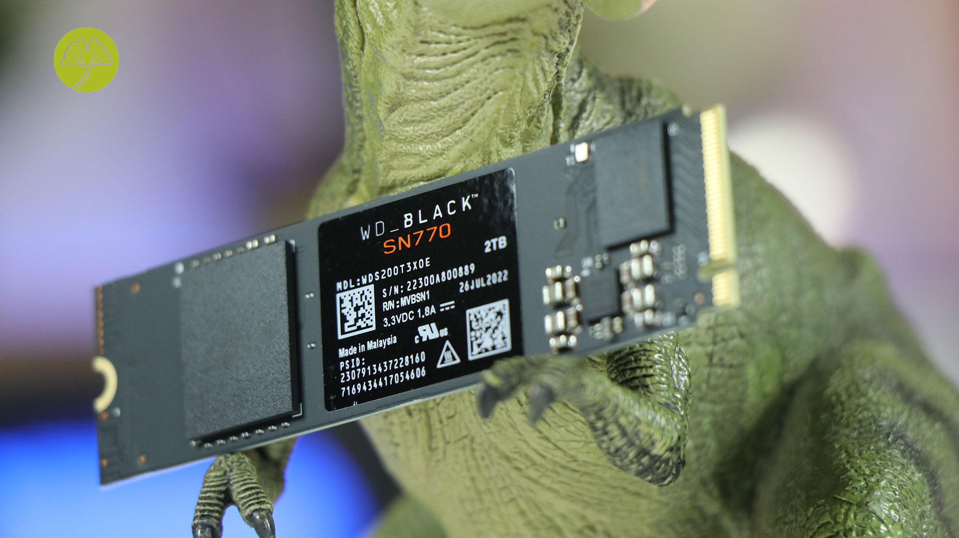 Test SSD WD_Black SN770 2 To - GinjFo