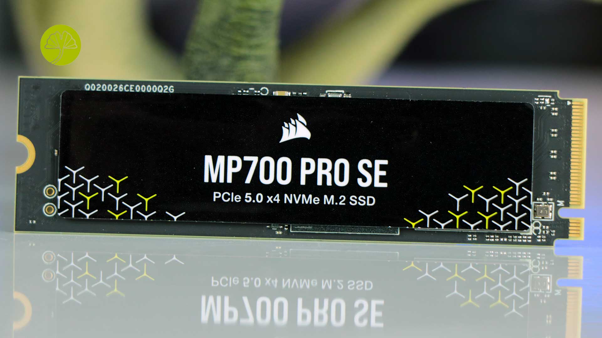 MP700 Pro SE 4 To